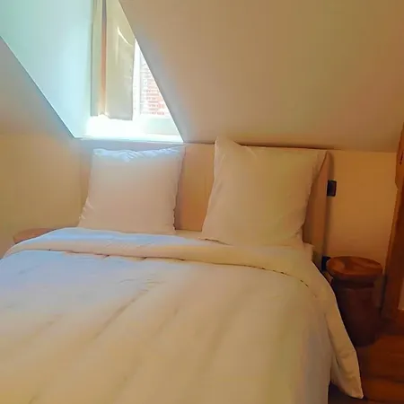 Magnifique Au Pied De La Appartement